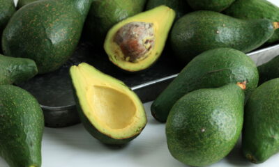 Comer abacate todos os dias pode muda sua saúde