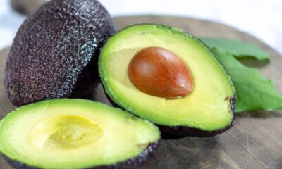 Como plantar abacate-hass e acelerar o crescimento da muda