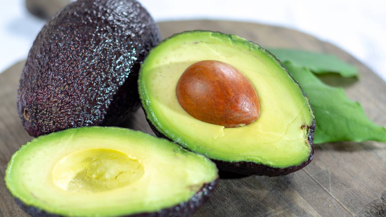 Como plantar abacate-hass e acelerar o crescimento da muda