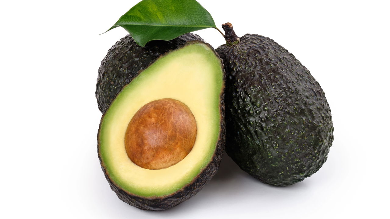 Aprender a cultivar abacate em casa é uma experiência gratificante, além de ser possível adaptar o cultivo às condições do seu quintal ou até mesmo em vasos grandes