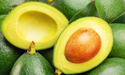 Plantar abacate em casa pode parecer desafiador, mas, seguindo orientações práticas, você poderá colher frutos abundantes e de excelente sabor