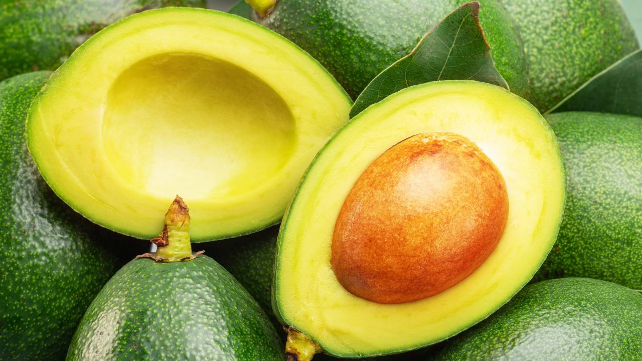 Plantar abacate em casa pode parecer desafiador, mas, seguindo orientações práticas, você poderá colher frutos abundantes e de excelente sabor