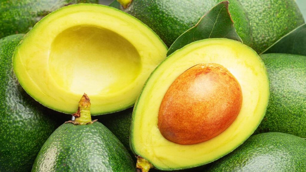 O que realmente significa quando o abacateiro demora a frutificar
