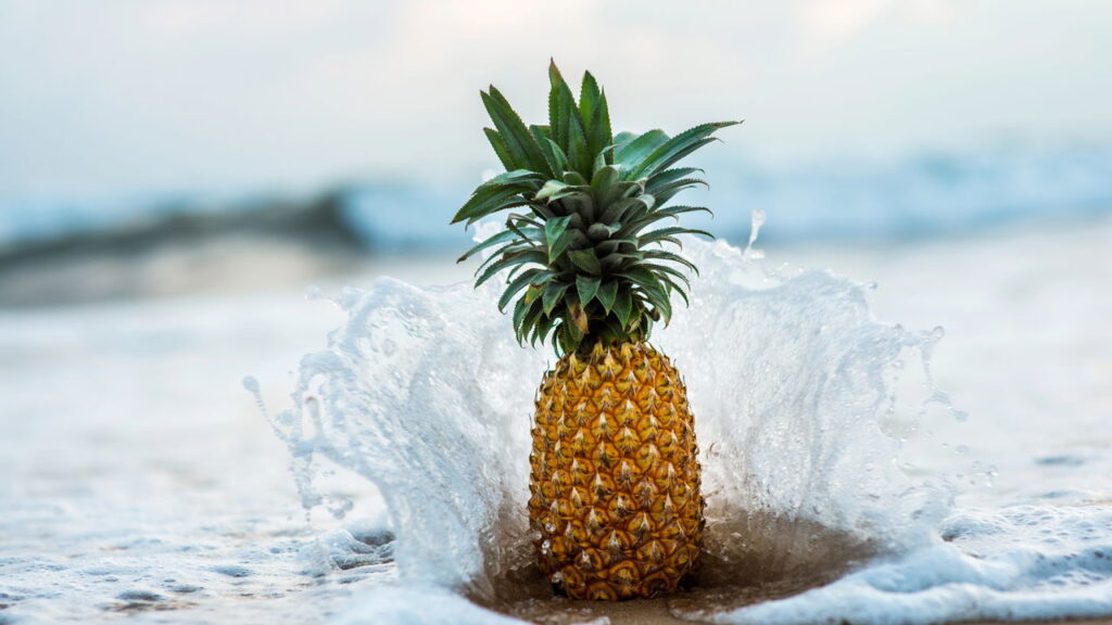 Como plantar abacaxi usando a coroa do abacaxi de mercado e colher a fruta na sua casa