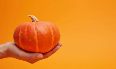 A abóbora, chamada de "jerimum" em muitas regiões do Brasil, é um vegetal versátil reconhecido pelo sabor, valor nutricional e presença marcante na culinária brasileira, representando a riqueza cultural e as tradições de diferentes regiões do país.