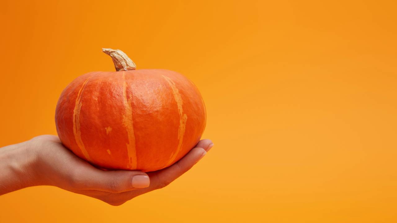 A abóbora, chamada de "jerimum" em muitas regiões do Brasil, é um vegetal versátil reconhecido pelo sabor, valor nutricional e presença marcante na culinária brasileira, representando a riqueza cultural e as tradições de diferentes regiões do país.