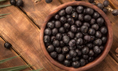 Cultivar açaí em casa pode ser uma experiência gratificante e também uma ótima forma de consumir alimentos naturais e frescos