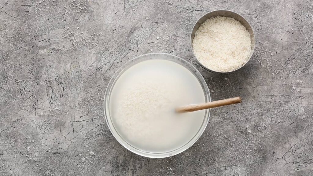 Usar água de arroz no cultivo de orquídeas tem se tornado comum por ser uma alternativa natural