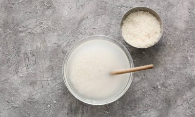 Usar água de arroz no cultivo de orquídeas tem se tornado comum por ser uma alternativa natural