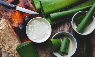 Aprenda a fazer um creme facial com babosa que estimula colágeno e renova a pele de quem tem 40+