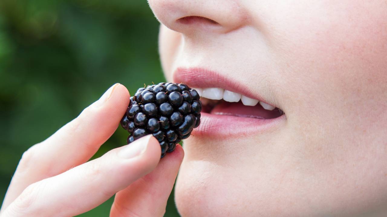 Amora no vaso ou no cantinho do jardim?