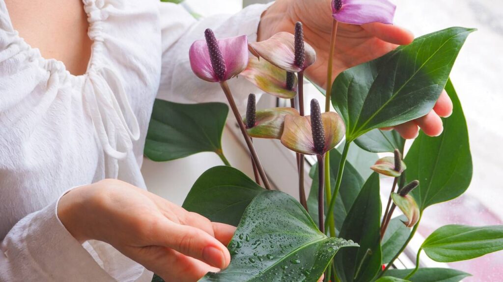 As plantas desempenham um papel crucial em nossas vidas, oferecendo desde uma estética excepcional até benefícios funcionais como a purificação do ar