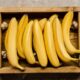 O cultivo de banana em vasos é uma alternativa acessível para quem possui espaço limitado e quer aproveitar os benefícios de produzir frutas em casa, desde que sejam tomados cuidados essenciais para garantir colheitas contínuas e um pouco da natureza no lar.