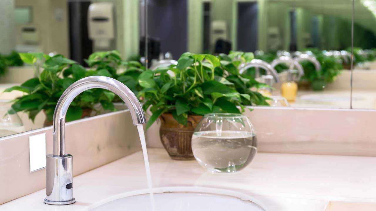 Como usar plantas para deixar o banheiro mais acolhedor