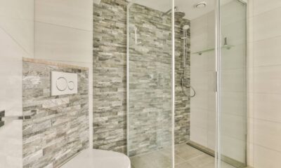 Passei a limpar o box com esponja mágica e agora ele parece novo sempre