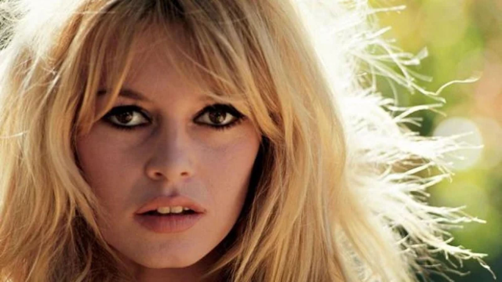 Atriz Brigitte Bardot, de 91 anos, é internada na França com doença grave