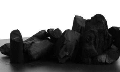 O carvão é amplamente reconhecido como uma solução natural e eficiente para eliminar odores indesejados em armários