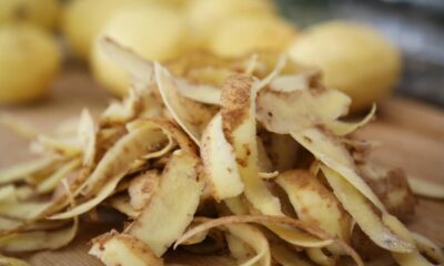 Usar água de batata para regar suas plantas é uma técnica natural, econômica e eficaz para impulsionar o crescimento saudável das espécies de seu jardim ou horta