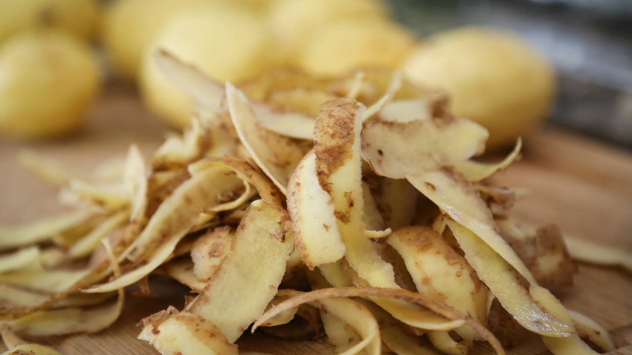 Usar água de batata para regar suas plantas é uma técnica natural, econômica e eficaz para impulsionar o crescimento saudável das espécies de seu jardim ou horta
