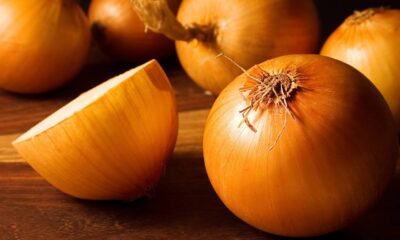 Fortaleça suas plantas com um adubo natural feito de casca de cebola