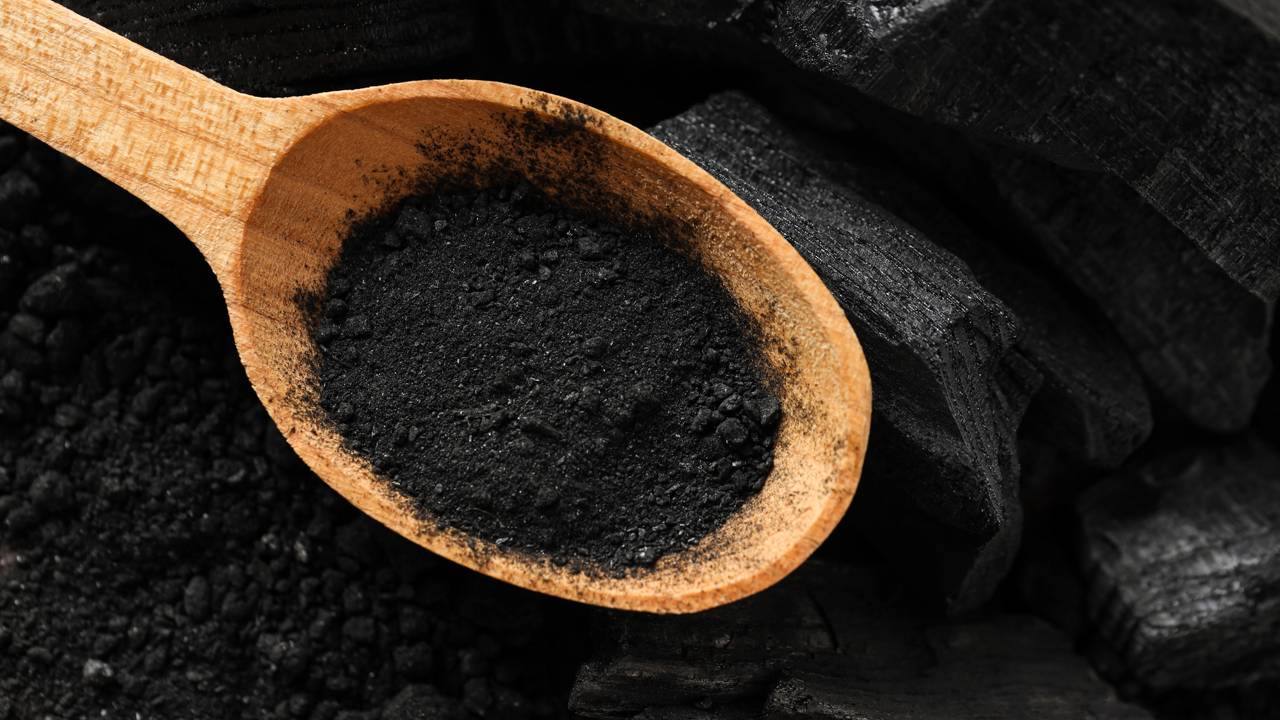 Cinzas de carvão têm despertado interesse entre jardineiros e entusiastas da agricultura devido às suas propriedades químicas e potenciais benefícios, principalmente na correção do solo