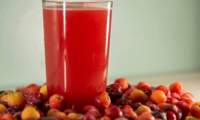 Cultivar acerola em casa é uma experiência recompensadora, permitindo colher frutas doces ao longo do ano e aproveitar seus benefícios