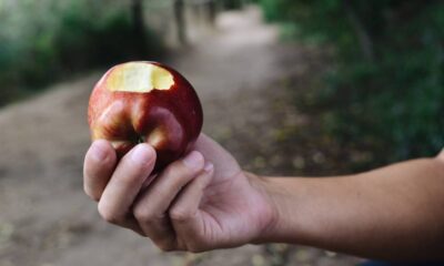 As frutas que fortalecem o coração e podem prolongar sua vida