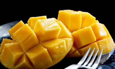 As mangueiras são conhecidas pela produção de frutos suculentos e doces, mas em algumas situações suas frutas podem apresentar amargor. Entender as causas desse problema ajuda o produtor a preservar a qualidade das mangas e evitar perdas.