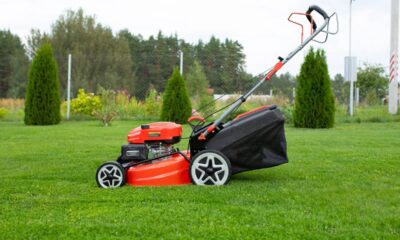 Lei de silêncio das 12h às 16h proíbe cortar a grama do jardim