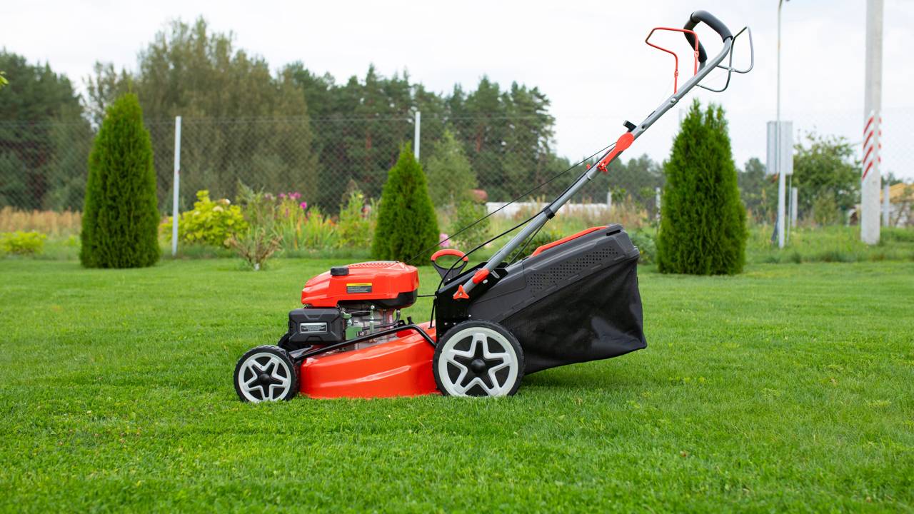 Lei de silêncio das 12h às 16h proíbe cortar a grama do jardim