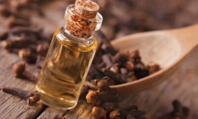 Eliminar mosquitos de forma natural com limão e eficaz é uma prioridade para muitos, especialmente durante o verão, quando esses insetos se proliferam com mais facilidade