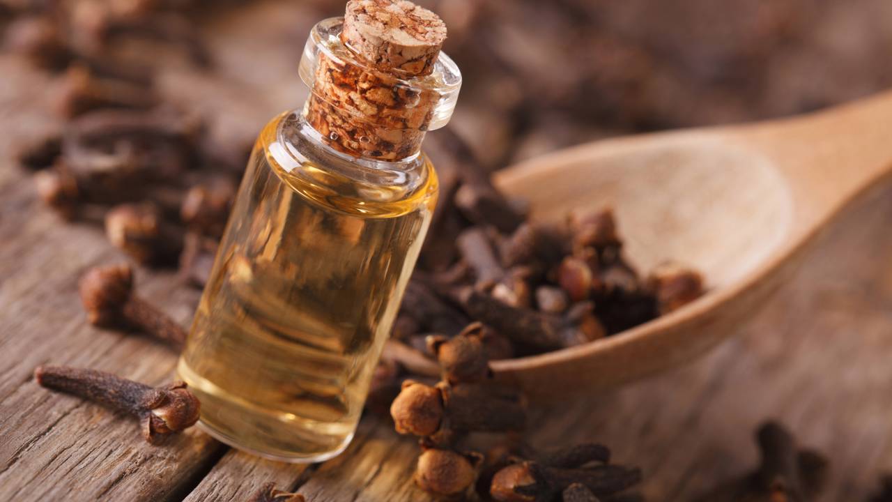 Eliminar mosquitos de forma natural com limão e eficaz é uma prioridade para muitos, especialmente durante o verão, quando esses insetos se proliferam com mais facilidade