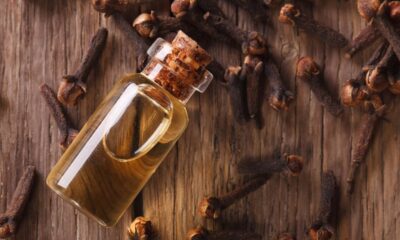 O truque do cravo com álcool na entrada da casa espantou mosquitos e ainda perfuma