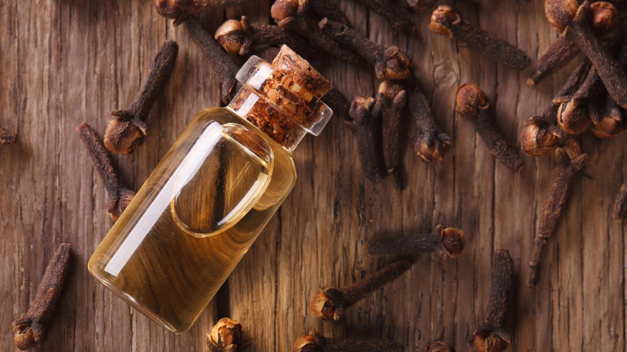 O truque do cravo com álcool na entrada da casa espantou mosquitos e ainda perfuma