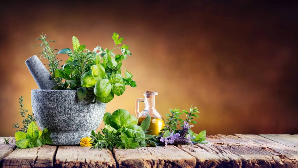 Ao plantar ervas aromáticas na primavera, você inova e adiciona frescor ao seu repertório culinário, tornando cada refeição mais interessante