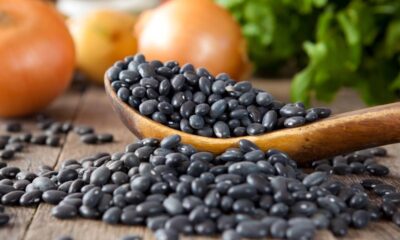 Feijão é um alimento essencial na dieta dos brasileiros, marcando presença de norte a sul em diversas variedades