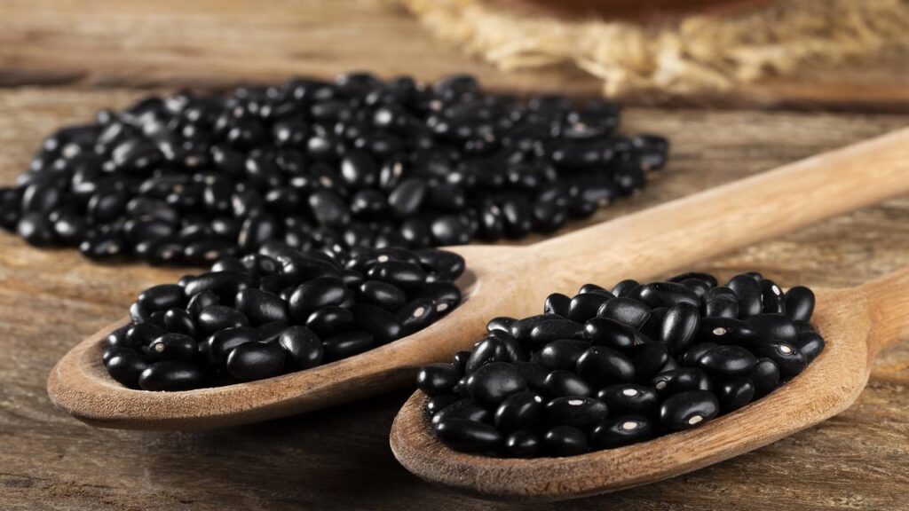 Feijão é um alimento essencial na dieta dos brasileiros, marcando presença de norte a sul em diversas variedades