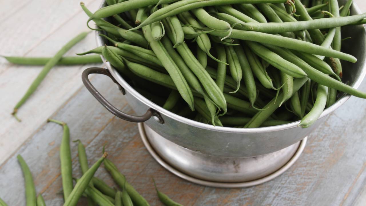 Feijão-fradinho e feijão-verde são nomes dados a uma variedade de feijão originário da África, presente na dieta brasileira há muitos anos. Consumido e produzido em várias regiões do país, recebe nomes diferentes conforme a localidade, como no Rio de Janeiro, onde é chamado de feijão-fradinho, enquanto em Fortaleza predomina o termo feijão-verde, ilustrando as variações linguísticas e culturais do Brasil.