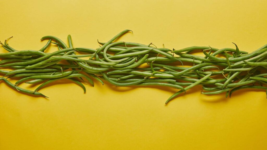 Feijão-fradinho e feijão-verde são nomes dados a uma variedade de feijão originário da África, presente na dieta brasileira há muitos anos. Consumido e produzido em várias regiões do país, recebe nomes diferentes conforme a localidade, como no Rio de Janeiro, onde é chamado de feijão-fradinho, enquanto em Fortaleza predomina o termo feijão-verde, ilustrando as variações linguísticas e culturais do Brasil.