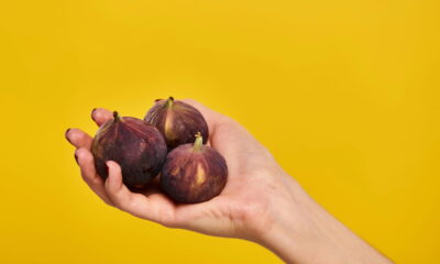 O cultivo de figo em casa pode ser uma experiência muito recompensadora, especialmente quando se aplica técnicas que aceleram a colheita