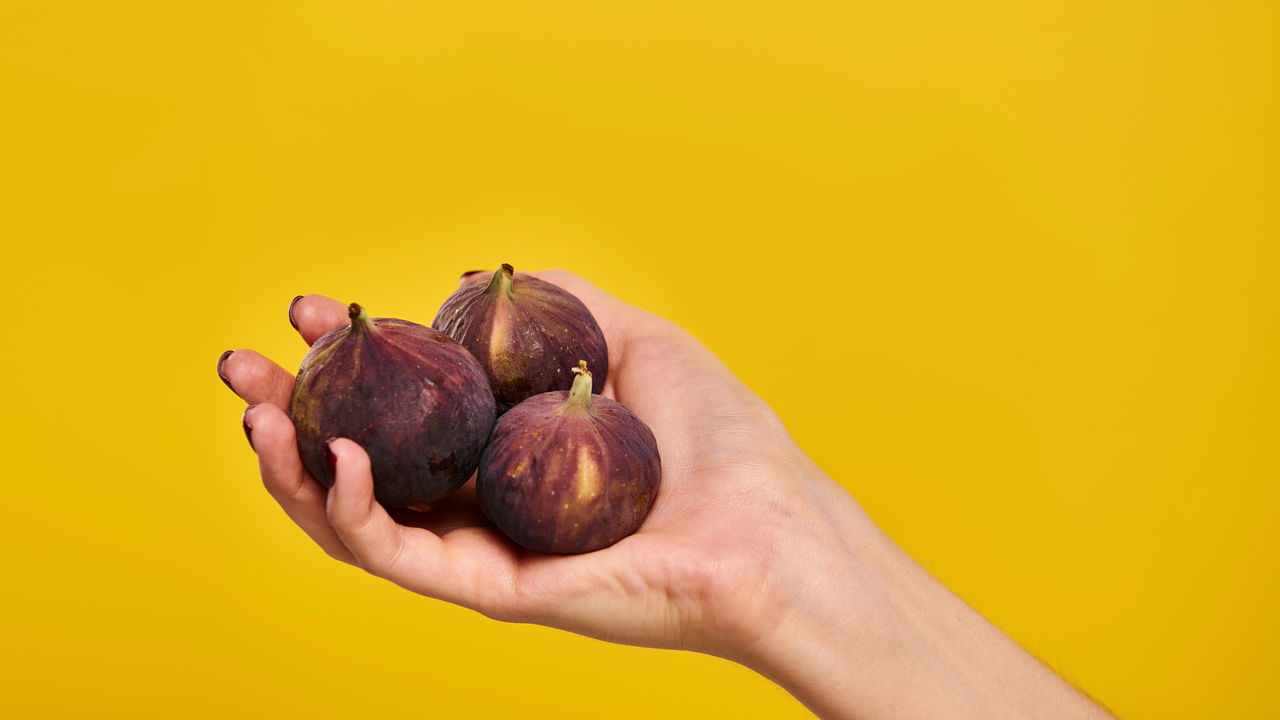 O cultivo de figo em casa pode ser uma experiência muito recompensadora, especialmente quando se aplica técnicas que aceleram a colheita