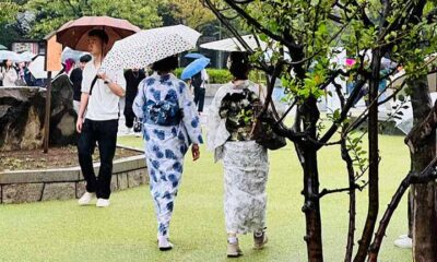 Descubra o misticismo que envolve os guarda-chuvas no Japão