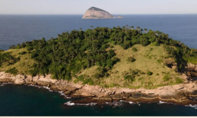 Beleza das Ilhas Cagarras é revelada em novo guia ilustrado