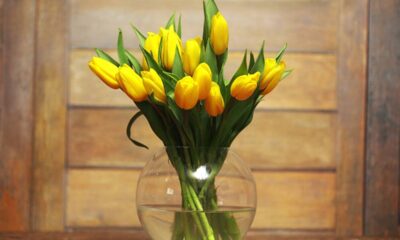 Como manter as flores bonitas no vaso por muito mais tempo