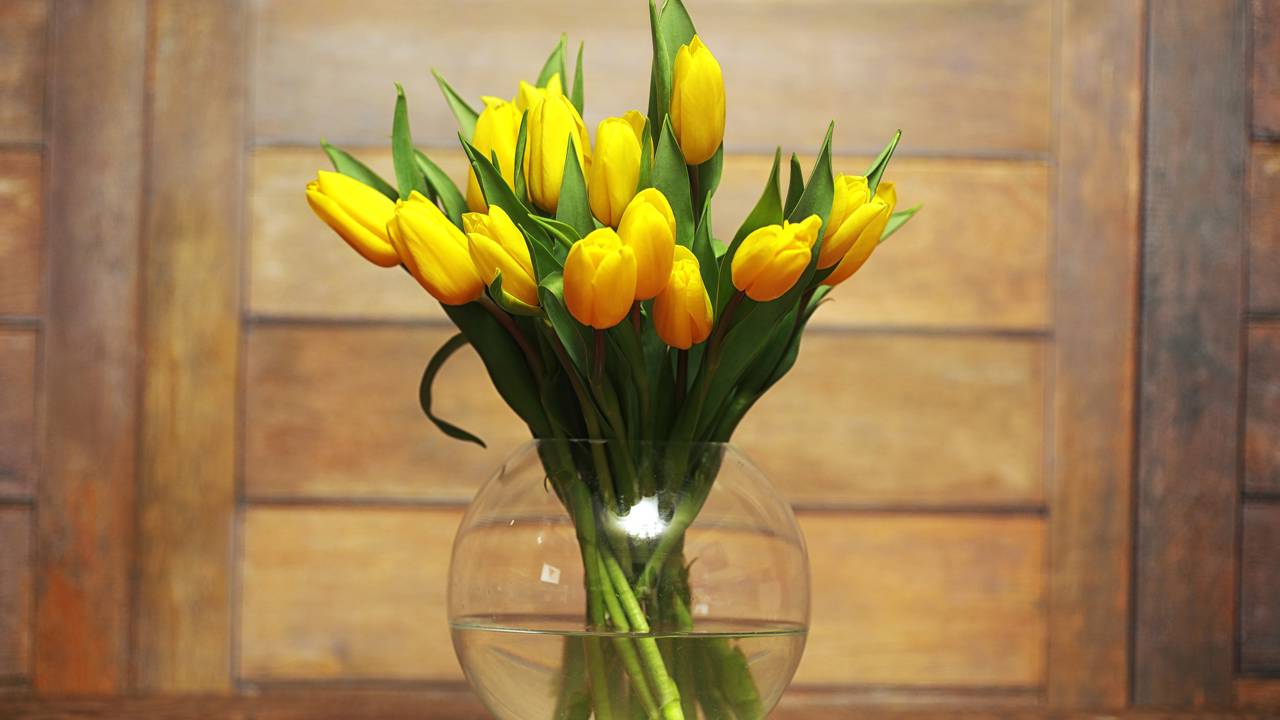 Como manter as flores bonitas no vaso por muito mais tempo