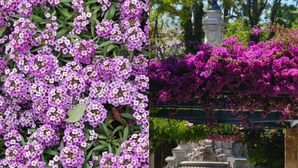 Com a chegada do verão, surge o desafio de manter o jardim vivo e cheio de cor mesmo sob intensas ondas de calor