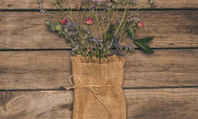 Como usar flores secas na decoração de forma elegante