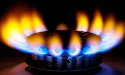 Na cozinha, o fogão é um dos eletrodomésticos mais utilizados, essencial para o preparo das refeições diárias