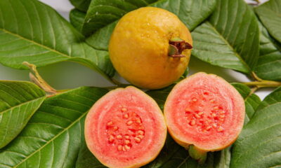 Você sabia que é possível cultivar goiaba vermelha em casa e colher mais rápido do que imagina