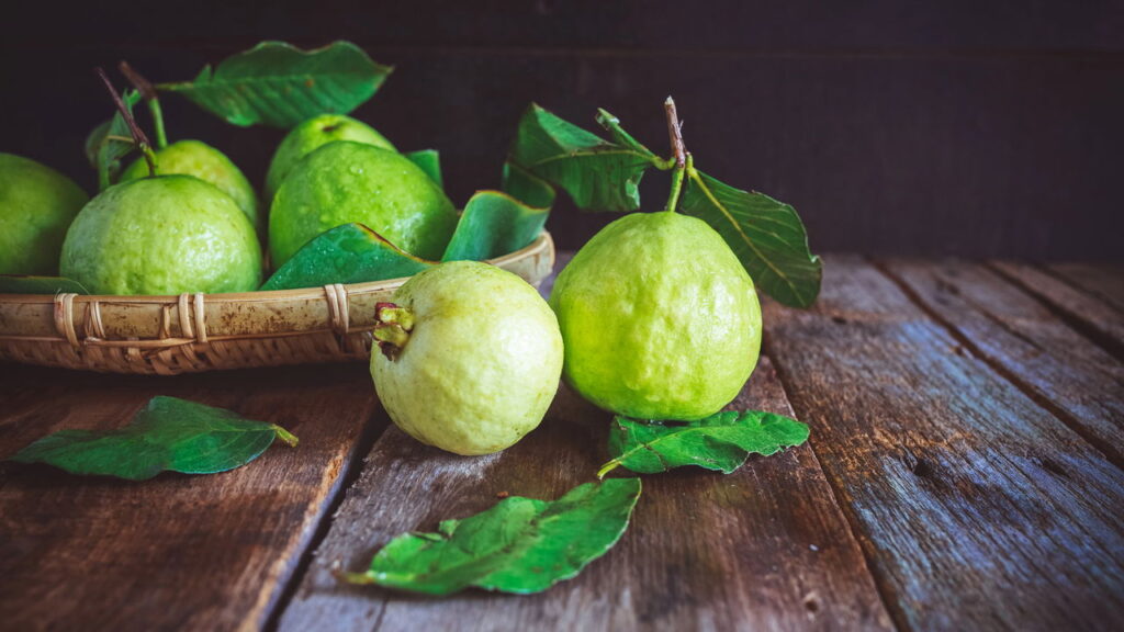 Você sabia que é possível cultivar goiaba vermelha em casa e colher mais rápido do que imagina